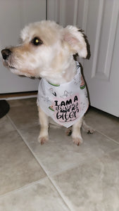 Lover Watermelon Dog Bandana- $10