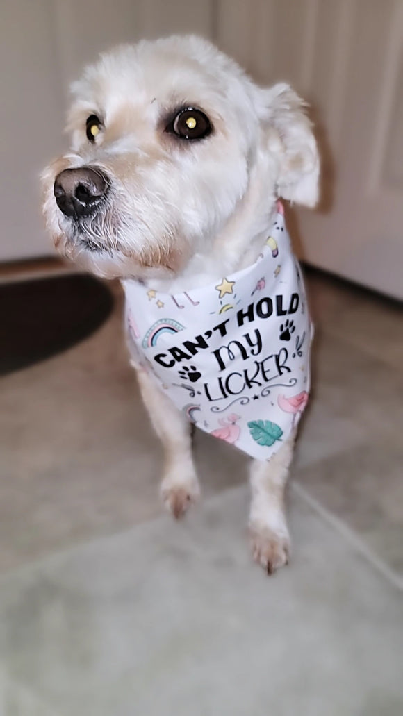 Licker Flamingo Dog Bandana-$10